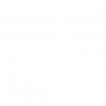 riccollini-white
